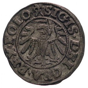 szeląg 1538, Gdańsk, Kurp. 416 (R), Gum. 551, patyna