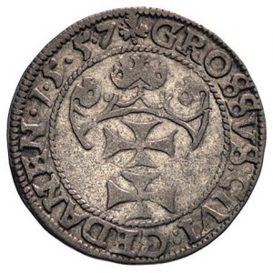 grosz 1557, Gdańsk, wcześniejszy typ z małą głową króla...
