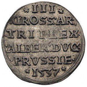 trojak 1537, Królewiec, Bahr. 1162, Neumann 42