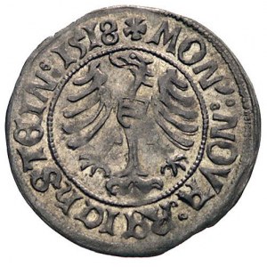 Karol I 1511-1536, grosz 1518, Złoty Stok, Fbg 422 (756...