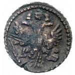 połuszka 1731 i 1734 (przebitka z diengi Piotra), Bitki...