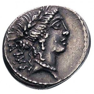 Man. Acilius Glabrio 49 pne, denar, Aw: Głowa Salus w w...