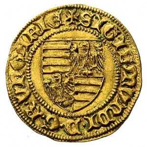 Zygmunt 1387-1437, goldgulden- Buda, Aw: Tarcza herbowa...