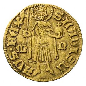 Zygmunt 1387-1437, goldgulden- Nagy-Banya, Aw: Tarcza h...