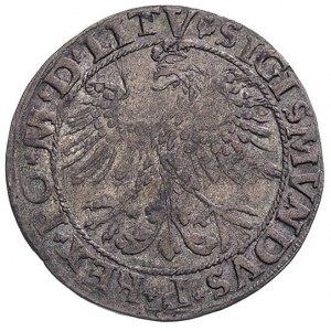 grosz 1535, Wilno, bardzo ciekawa odmiana z literą S po...