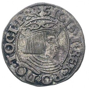 grosz 1535, Gdańsk, trójliść po obu stronach monety dzi...