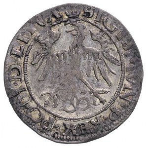 grosz 1536, Wilno, odmiana z literą I pod Pogonią, Ivan...