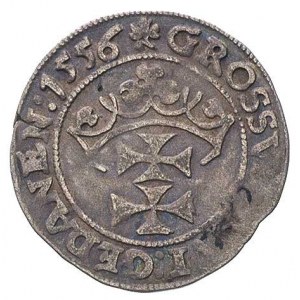 grosz 1556, Gdańsk, T. 4, drobna wada mennicza, patyna