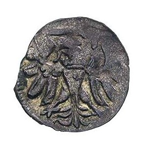 denar 1558, Gdańsk, T. 10, rzadki, ciemna patyna