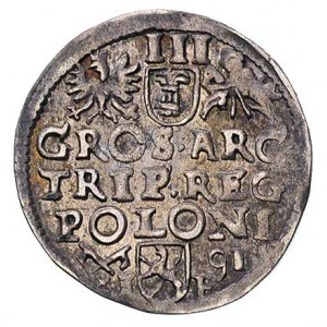 trojak 1591, Poznań, patyna