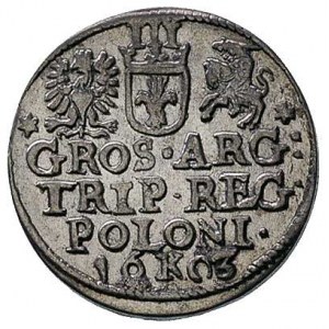 trojak 1603, Kraków, rzadka i ładnie zachowana moneta