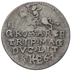 trojak 1664, Wilno, III przed Pogonią, Ivanauskas -, T....