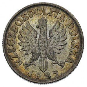 1 złoty 1925, Londyn, Parchimowicz 107 b, złocista paty...