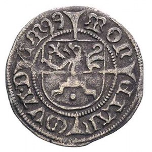 szeląg 1499, Dąbie, Dbg 386, patyna