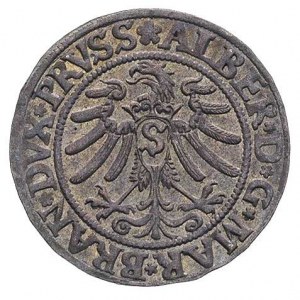 grosz 1533, Królewiec, Bahr. 1140, Neumann 45, ładnie z...