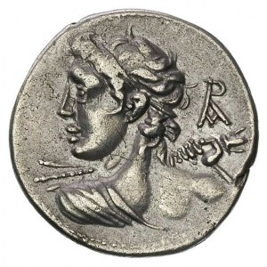 Lucius Caesius 112-111 pne, denar, Aw: Popiersie młodeg...