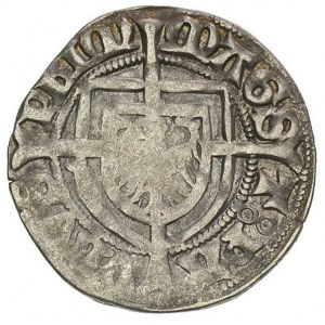 Paweł von Russdorf 1422-1441, szeląg, Aw: Tarcza wielki...