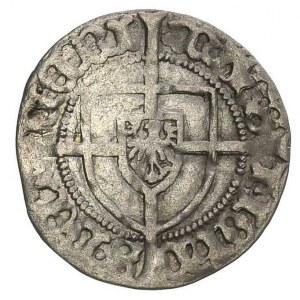 Jan von Tiefen 1489-1497, grosz, Królewiec, Aw: Tarcza ...