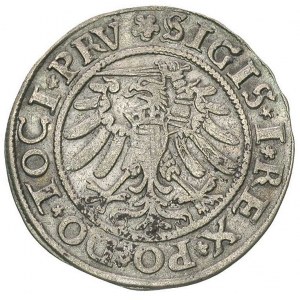 grosz 1533, Elbląg, na awersie odmiana napisu PRV, paty...