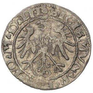 grosz 1536, Wilno, odmiana z literą I pod Pogonią i kro...