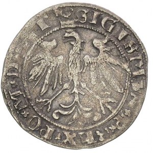 grosz 1536, Wilno, odmiana z literą I pod Pogonią i tró...