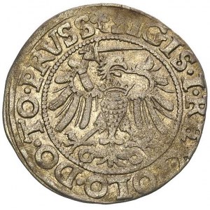 grosz 1540, Elbląg, na awersie napis PRVSS