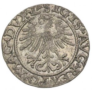 półgrosz 1562, Wilno, herb Topór u dołu, Ivanauskas 527...