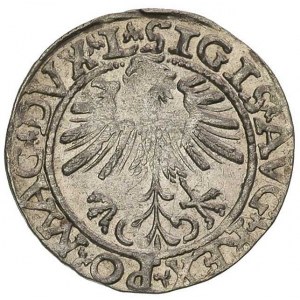 półgrosz 1563, Wilno, Ivanauskas 531:78