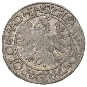 półgrosz 1566, Tykocin, Ivanauskas 551:80, T. 12, rzadk...
