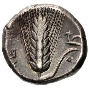 LUKANIA- Metapont, stater 330-300 pne, Aw: Głowa Demete...