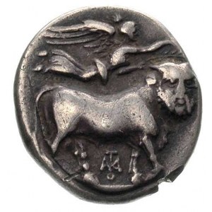 KAMPANIA- Neapolis, stater 450- 340 pne, Aw: Głowa nimf...