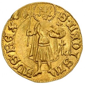 Zygmunt 1387-1437 goldgulden przed 1427 r, Aw: Tarcza h...