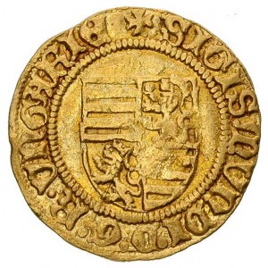 Zygmunt 1387-1437 goldgulden przed 1427 r, Aw: Tarcza h...