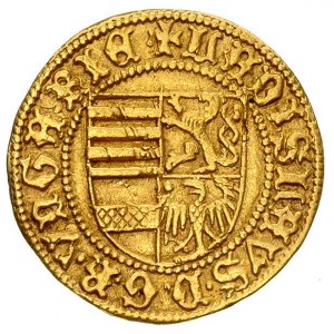 Ładysław V 1453-1457, goldgulden, Hermannstadt (1457), ...