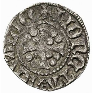 Cisso von Ruttenberg 1424-1434, szeląg, Aw: Tarcza zako...