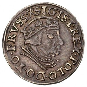 trojak 1539, Gdańsk, końcówka napisu PRVSS, korona bez ...