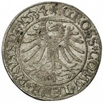 zestaw groszy 1531, 1532 i 1534 (2), Toruń, razem 4 szt...