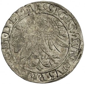 grosz 1535, Wilno, bardzo rzadka odmiana z literą N pod...