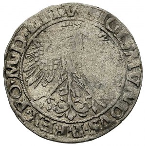 grosz 1535, Wilno, bardzo rzadka odmiana z literą S pod...