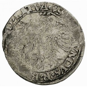 grosz 1535, Wilno, odmiana z literą S pod Pogonią, Ivan...