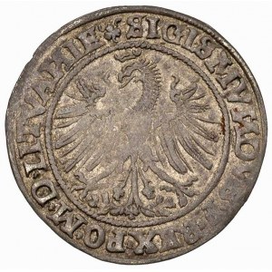 grosz 1535, Wilno, odmiana Pogoń z szablą, w napisach l...