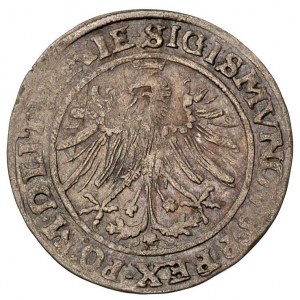 grosz 1535, Wilno, odmiana Pogoń z szablą, na rewersie ...