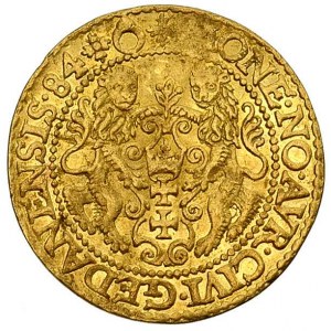 dukat 1584, Gdańsk, odmiana bez głowy lwa na ramieniu, ...