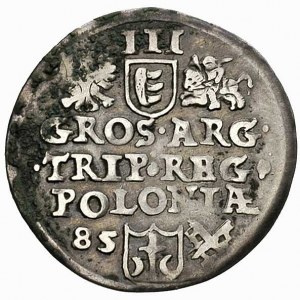 trojak 1585, Poznań, ciemna patyna