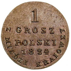 1 grosz z miedzi krajowej 1824, Warszawa, Plage 214, Bi...