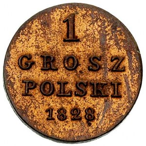 1 grosz 1828, Warszawa, Plage 220, Bitkin 1055, ładnie ...