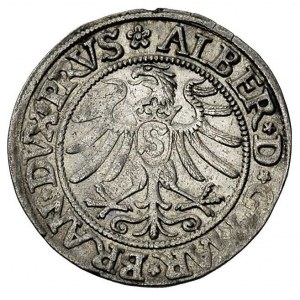 grosz 1533, Królewiec, Bahr. 1132, Neumann 45