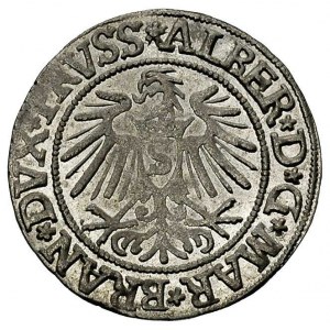 grosz 1537, Królewiec, Bahr. 1164, Neumann 45, bardzo ł...