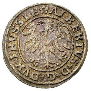 szeląg 1530, Królewiec, Bahr. 1128, Neumann 48, patyna