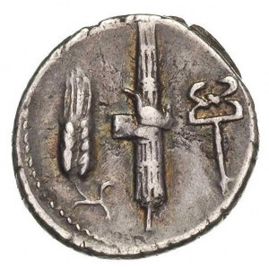 C. Norbanus 83 r pne, denar, Aw: Głowa Wenus w  diademi...